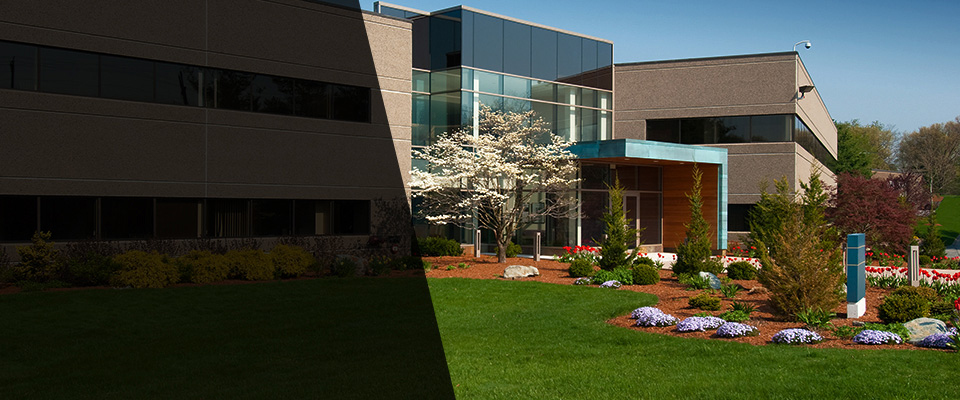 Holliston Landscapers